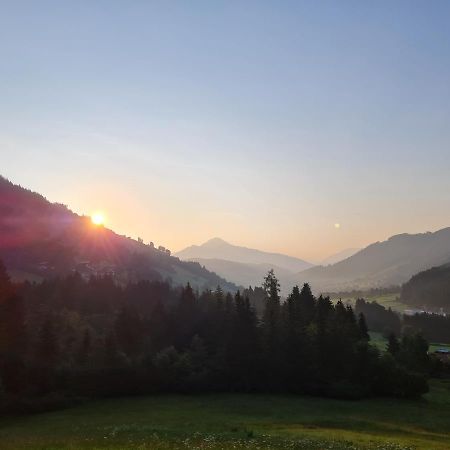 Ferienwohnung Zauberwinkelweg Mit Traum-Aussicht! Wildschoenau Ngoại thất bức ảnh